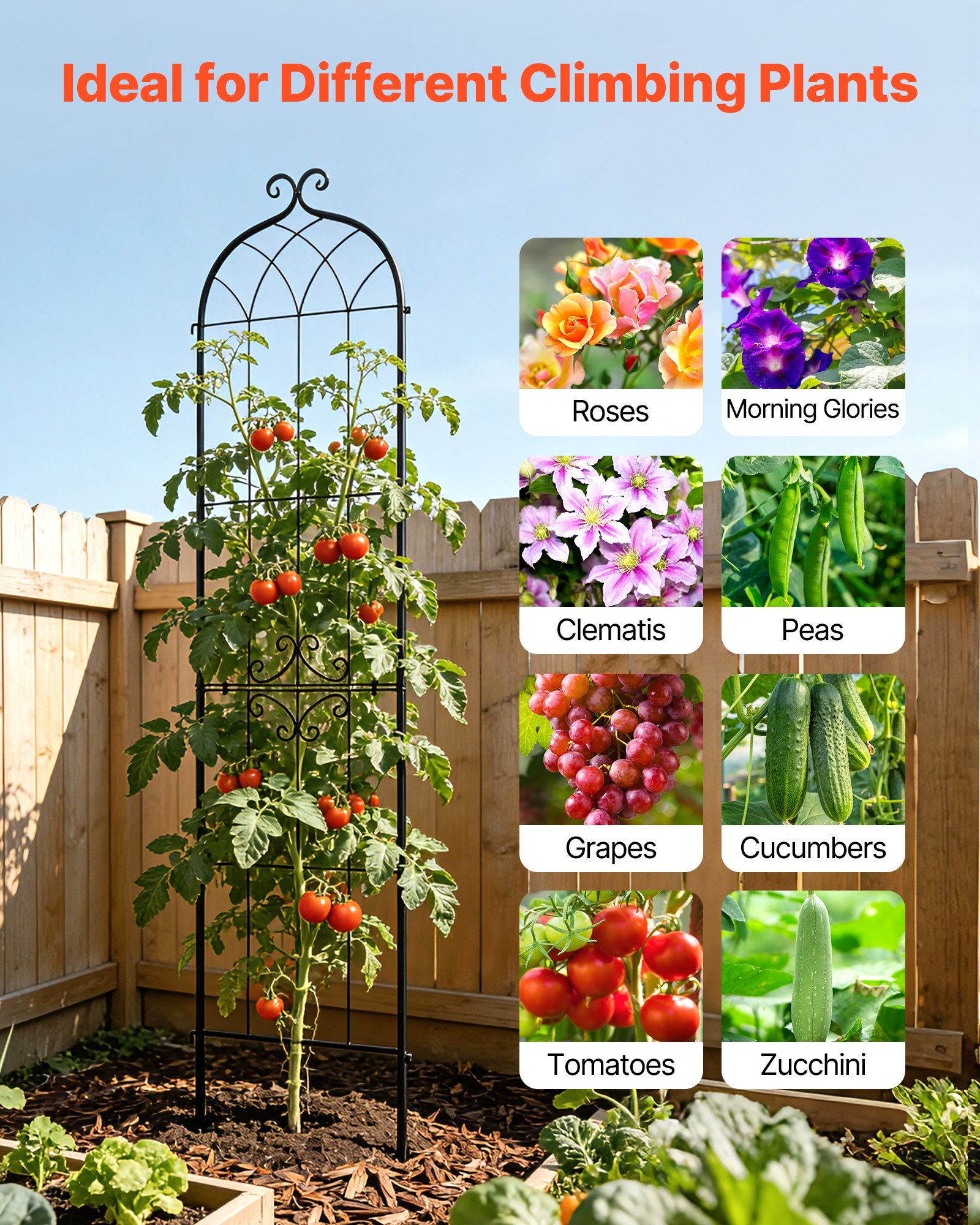 VEVOR Tralicci da Giardinaggio 220x52,5 cm 4 pz, Supporti Decorativi per Giardini e Aiuole con Finitura a Polvere Design Collegabile, Griglie Metalliche di Sostegno per Pomodori Rose Piante Rampicanti