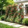 VEVOR Set 6 pz Traliccio da Giardinaggio 220x52,5 cm, Graticcio in Metallo per Prati e Aiuole con Finitura Verniciata a Polvere e Funzione ad Incastro, per Sostegno di Fiori Ortaggi Piante Rampicanti