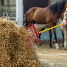 VEVOR 6 Pezzi di Ricambio per Forca per Letame, con 18 Denti Angolati, Testa per Forca in Plastica Resistente, Rastrello per Cavalli per Raccogliere Letame, Fieno, Erba, Lavori Agricoli