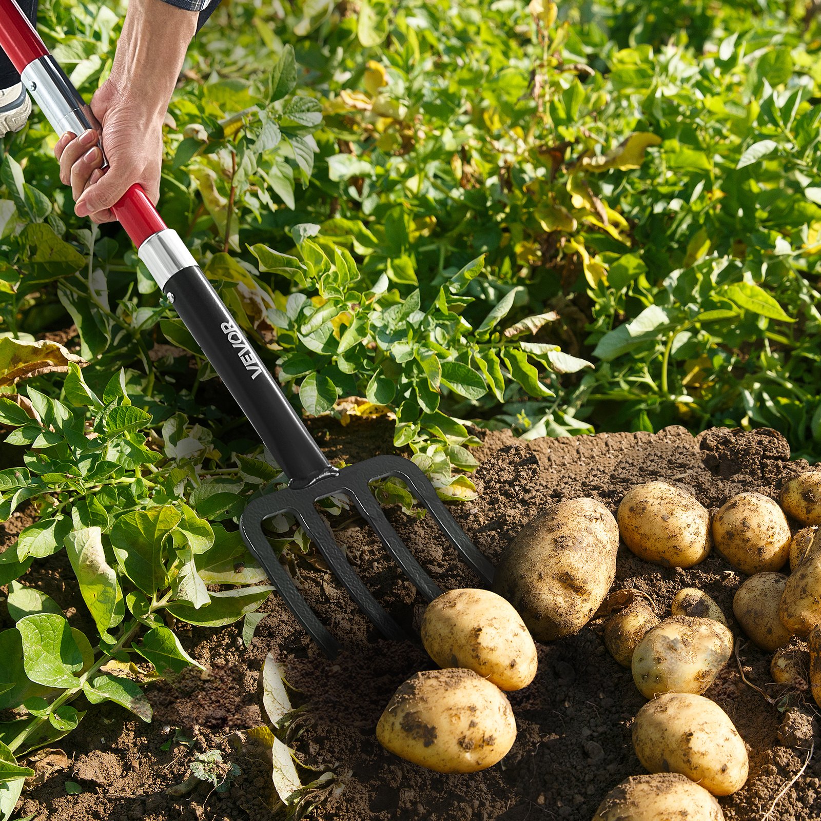 VEVOR Forca da Giardino a 4 Rebbi con Manico in Fibra di Vetro, Forca da Scavo Resistente da 1140 mm con Impugnatura a Y, Forca da Vanga in Acciaio Forgiato per Fieno, Compostaggio