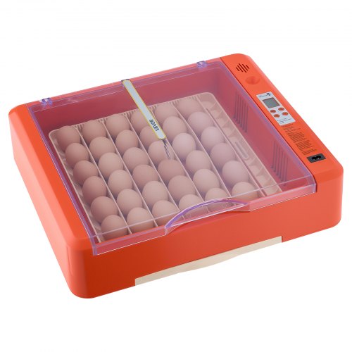 Incubatrice per uova, incubatrice per 36 uova con rotazione automatica delle uova e controllo dell'umidità, incubatrice per uova di gallina con display della temperatura, incubatrice per uova da cova