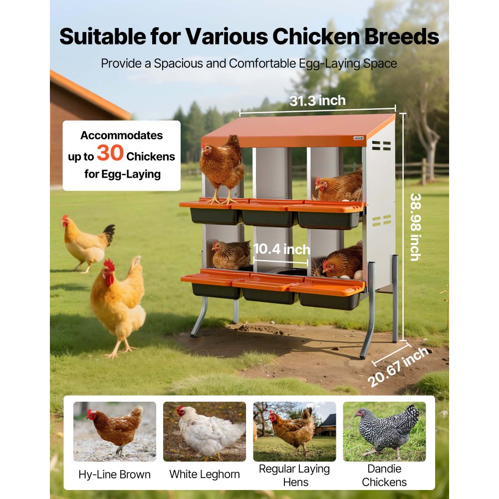 VEVOR Nido con Cassetto di Raccolta Uova per Galline, 6 Scomparti con Gambe di Supporto, Facile Raccolta, Acciaio Zincato e Plastica ad Alta Resistenza, Nido per Deposizione di Uova di Gallina
