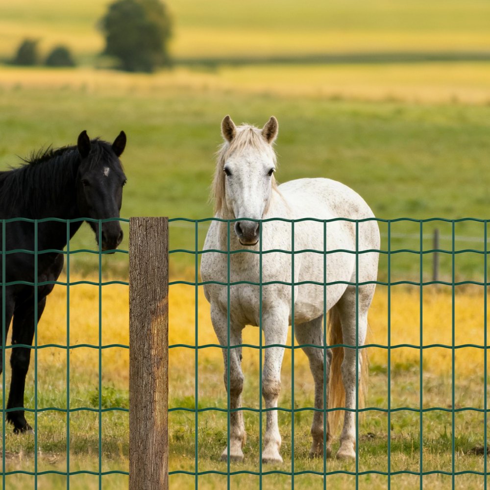 VEVOR Rotolo di Rete Metallica per Recinzione 1 x 20 m, Recinzione in Filo di Acciaio Zincato da 2,1 mm per Bovini, Suini e Pecore, per Recinti per Animali, Filo per Gabbie, Giardino, Verde
