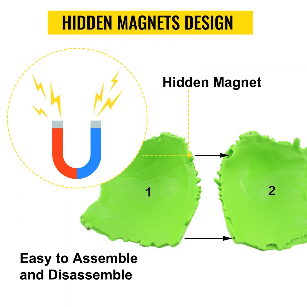 VEVOR Modello Anatomico di Cranio 22 Parti Anatomia Medico Modello 1: 1 Colorato