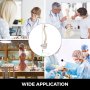 Modello Anatomico Di Colonna Vertebrale 85cm Medico Educativo Grandezza Naturale