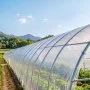 VEVOR Telo di Plastica per Serra 7,3 x 30,5 m Spessore 5 mil in Polietilene, per Agricoltura Giardini, Resistente a Sole Pioggia Neve Vento e alla Polvere, Copertura Invernale Spessa per Coltivazioni