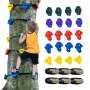 albero da arrampicata per bambini con impugnature colorate, che espone il kit da arrampicata sugli alberi VEVOR e le cinghie a cricchetto.