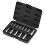 VEVOR Torx Drill Bit Socket Set, 13-Piece, Star T8–T60, S2 Alloy Steel & Cr-V Steel, 1/4", 3/8" & 1/2" Drives, with Storage Case, Torx Sockets for Automotive Repair