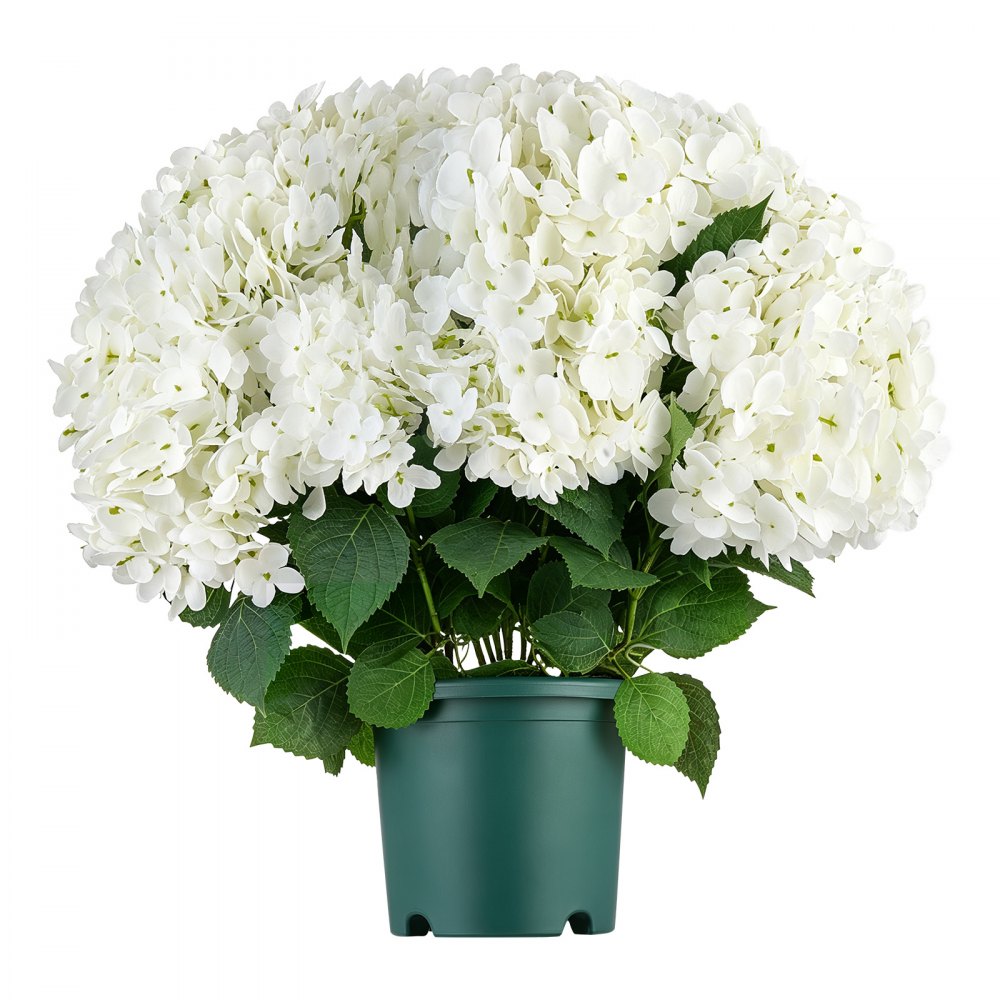 VEVOR Ortensie Artificiali in Vaso 508 mm, Set da 2, Fiori Finti da Esterno, Fiori Artificiali Bianchi in Seta e PE, con Vaso per Veranda, Patio, Ingresso, Casa, Interni ed Esterni, Pronte da Esporre