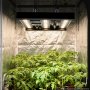 VEVOR LED Grow Light 200W Full Spectrum Dimmable Growing Lamp 400-740 nm, for Indoor Plants in 60 x 60 cm Grow Tent Seed Starting Vegetables Bloom, Aluminum Alloy, Daisy Chain, Adjustable Brightness