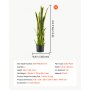 VEVOR Sansevieria Artificiale, Set da 2, 254 mm Larghezza x 914 mm Altezza, Pianta Artificiale da Interno con Vaso, Aspetto Realistico, in HDPE Durevole, Ideale per Casa, Giardino, Ufficio e Soggiorno