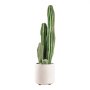 VEVOR Artificial Cactus, 610 mm Tall Fake Cactus Plant with White Pot, for Home, Garden, Office, Store, Living Room, Bedroom Indoor Decoration, Realistic Texture Faux Decor Plant, Premium HDPE