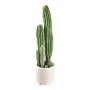 VEVOR Artificial Cactus, 610 mm Tall Fake Cactus Plant with White Pot, for Home, Garden, Office, Store, Living Room, Bedroom Indoor Decoration, Realistic Texture Faux Decor Plant, Premium HDPE