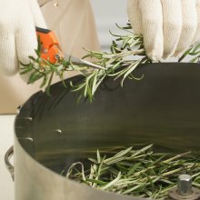 VEVOR Tagliafoglie a Ciotola Manuale Coperchio Trasparente Diametro 40cm Lame in Acciaio Inox da Giardino, Taglierina Manuale per Erba Foglie a Ciotola Tagliafoglie Lame a Forma di X per Giardinaggio
