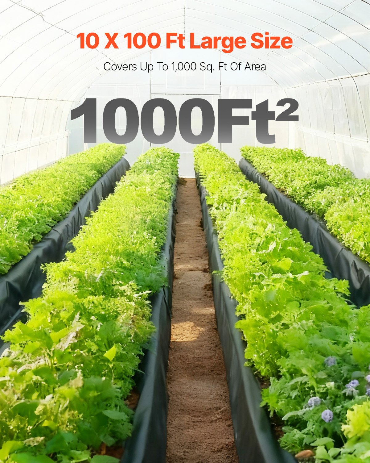 VEVOR Telo di Plastica 0,25 mm, 3,05 m x 30,48 m Barriera al Vapore per Intercapedine, Telo in Polietilene per Giardino ad Alta Resistenza, Telo per Pittori Fornitura di Plastica Agricola Nero