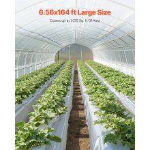 VEVOR Telo di Plastica 0,2 mm, 2 m x 50 m Barriera al Vapore per Intercapedine, Rotolo di Telo in Polietilene per Giardino ad Alta Resistenza, Telo per Pittori Fornitura di Plastica Agricola Grigio