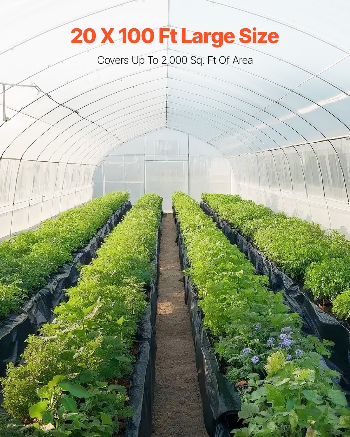 VEVOR Telo di Plastica 0,25 mm, 6,96 m x 30,48 m Barriera al Vapore per Intercapedine, Telo in Polietilene per Giardino Resistente, Plastica Costruzione, Telo per Fornitura di Plastica Agricola Nero