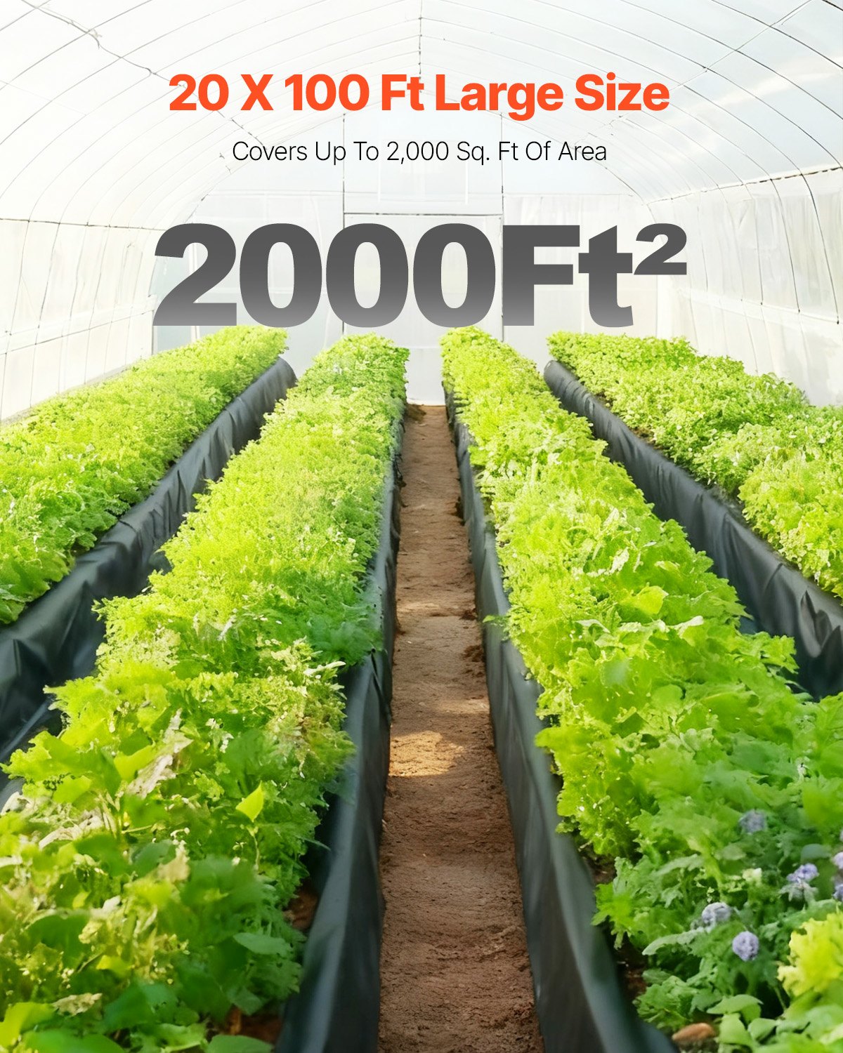 VEVOR Telo di Plastica 0,25 mm, 6,96 m x 30,48 m Barriera al Vapore per Intercapedine, Telo in Polietilene per Giardino Resistente, Plastica Costruzione, Telo per Fornitura di Plastica Agricola Nero