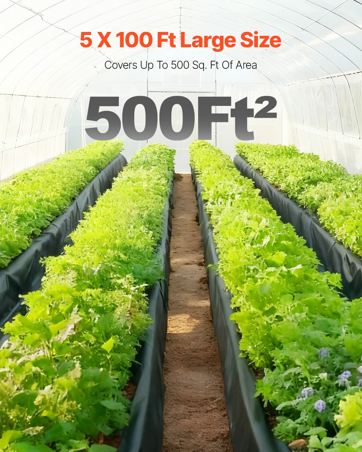 VEVOR Telo di Plastica 0,25 mm, Barriera al Vapore per Intercapedine 1,52 m x 30,48 m, Telo in Polietilene per Giardino Resistente, Plastica Costruzione, Telo per Fornitura di Plastica Agricola Nero