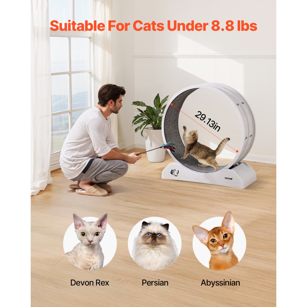 VEVOR Ruota per Esercizi per Gatti, Grande Ruota per Correre con Freno di Sicurezza e Pista in Moquette, Tapis Roulant per Gatti, Ruota per Esercizi da Interno per Animali Domestici, Bianco 800 mm