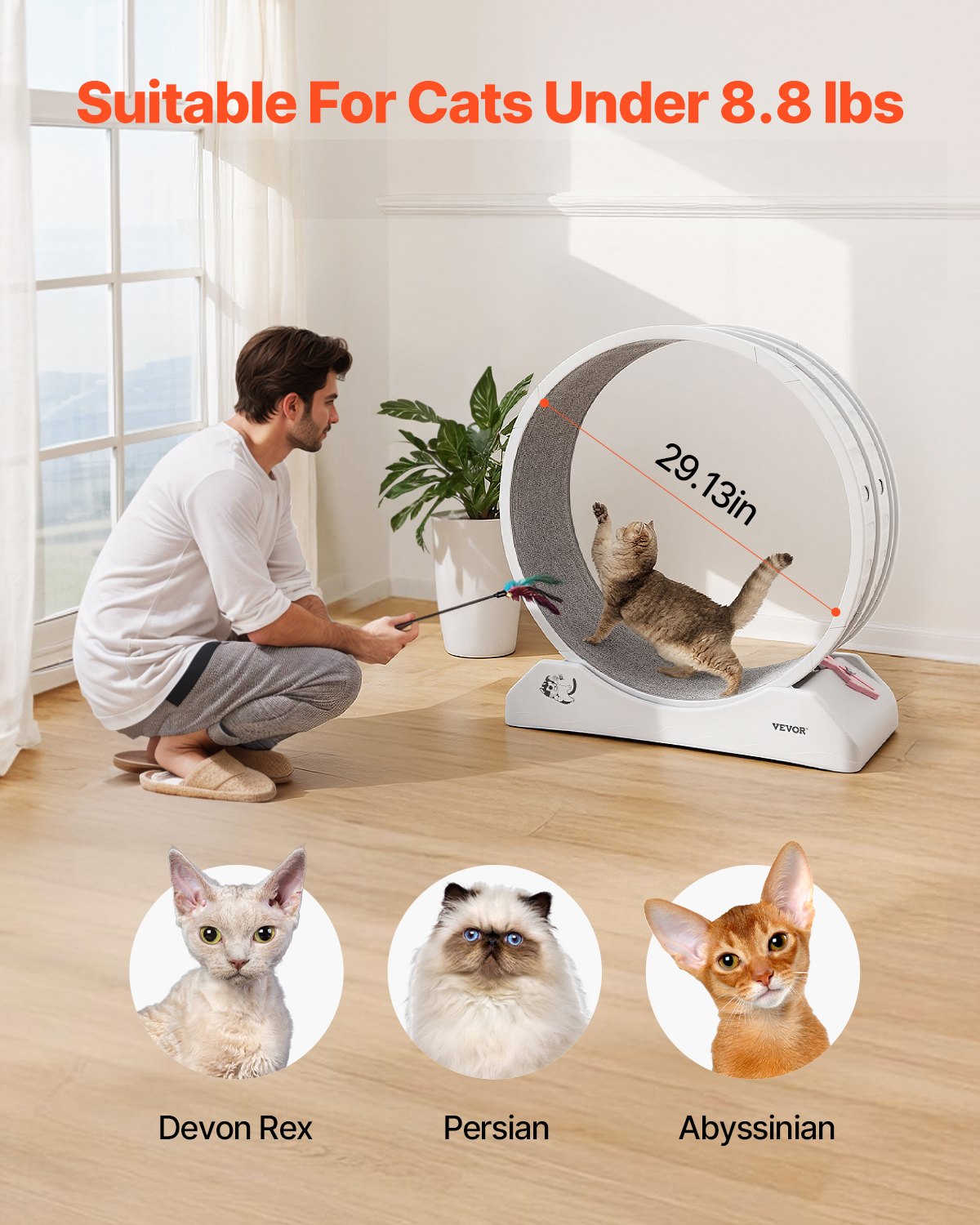 VEVOR Ruota per Esercizi per Gatti, Grande Ruota per Correre con Freno di Sicurezza e Pista in Moquette, Tapis Roulant per Gatti, Ruota per Esercizi da Interno per Animali Domestici, Bianco 800 mm