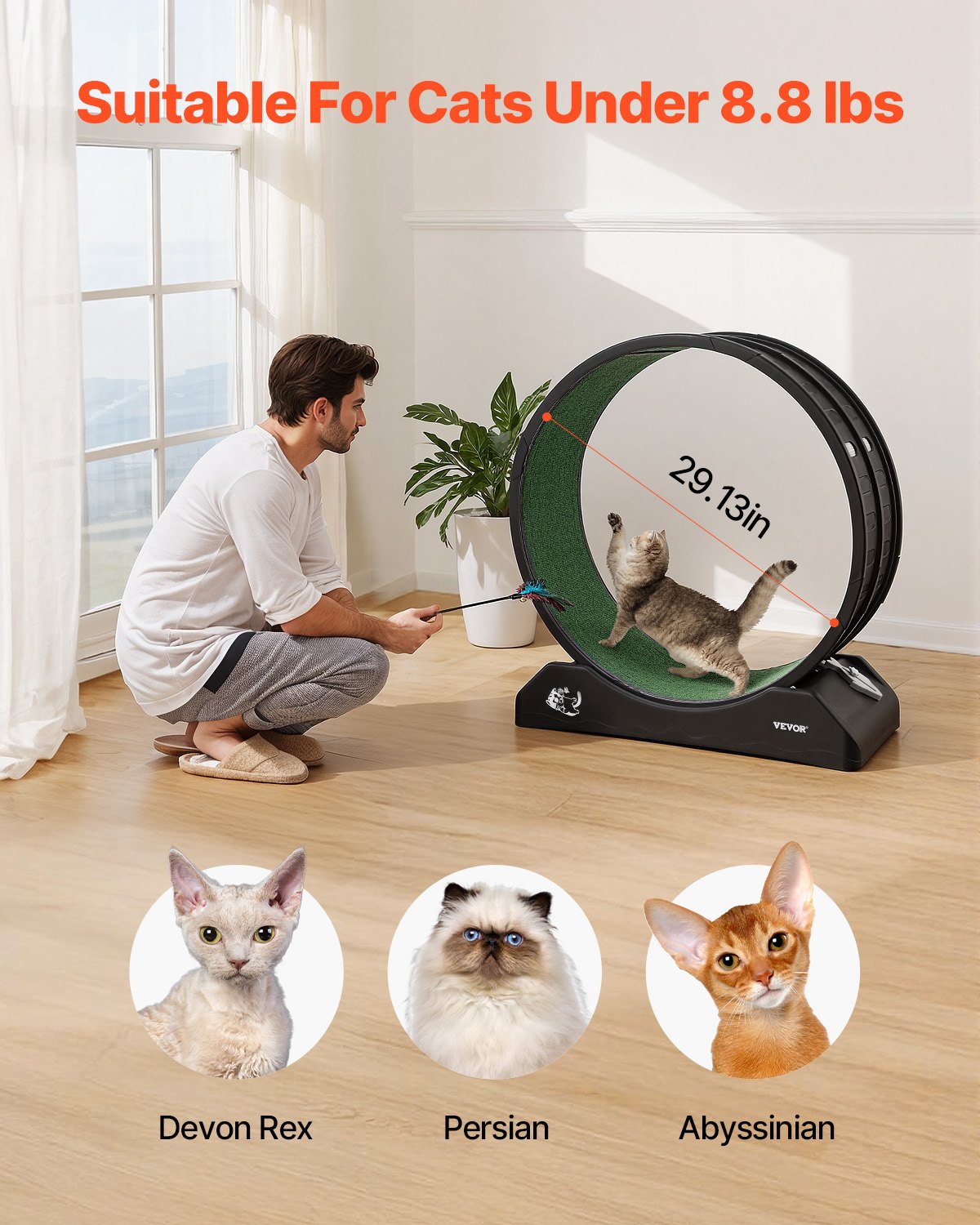 VEVOR Ruota per Esercizi per Gatti, Grande Ruota per Correre con Freno di Sicurezza e Pista in Moquette, Tapis Roulant per Gatti, Ruota per Esercizi da Interno per Animali Domestici, Nero 800 mm