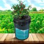 VEVOR Sistema di Coltivazione Idroponica DWC, Kit di Coltivazione in Acque Profonde 20 Litri con Pompa ad Aria, Pietre Porose, Dispositivo Livello dell'Acqua, Sistema Idroponico per Verdure a Foglia