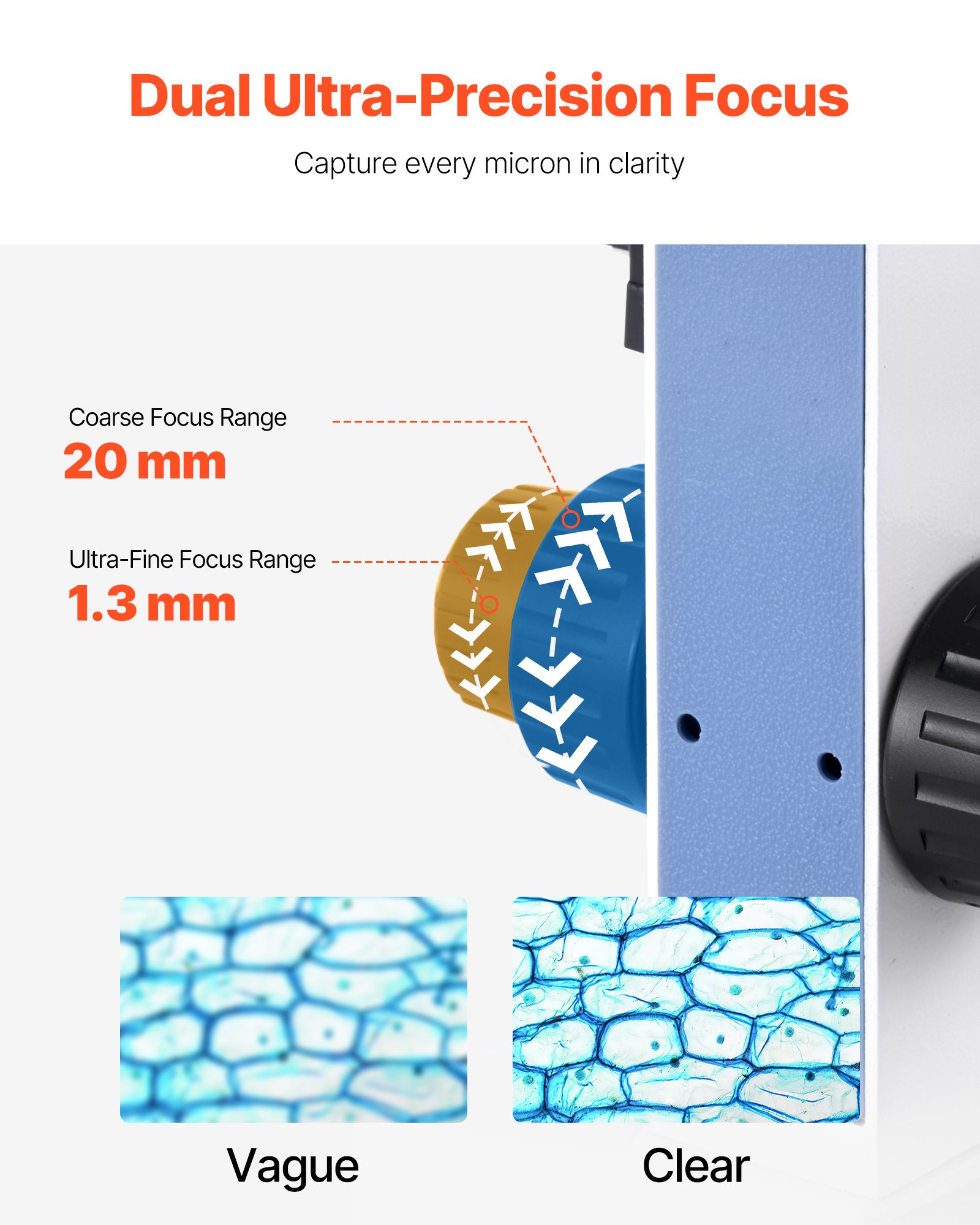 VEVOR Microscopio Binoculare, Kit Microscopio Composto con Ingrandimento, Set di Oculari, 1,3mm Due Stadi, Luce LED, Supporto per Telefono, per Studenti, Laboratorio, Scuola, Casa