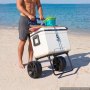 VEVOR Carrello da Spiaggia con Ruote Grandi Per Sabbia, Vassoio di Carico 380 x 386 mm, Carrello Da Trasporto Pieghevole Ruote PE Piene 254 mm, Per picnic, Campeggio, Spiaggia, Pesca, Carico 31 kg