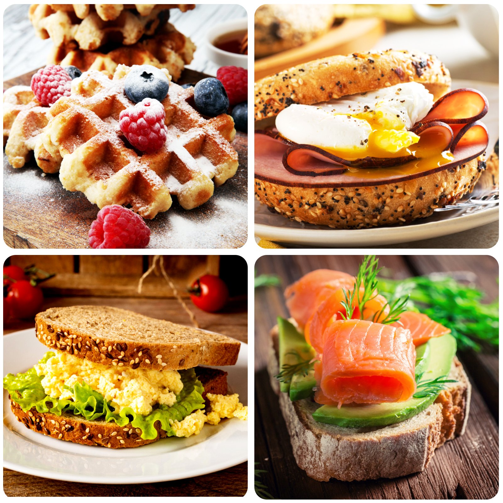 Vevor Tostapane Per Pane A 4 Fette In Acciaio Inossidabile Con Slot Extra Largo