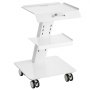 VEVOR Carrello da laboratorio, Carrello mobile in metallo con ruote girevoli, Carrello da clinica con vassoio con capacità di peso di 220 libbre, per laboratorio, clinica, bellezza e salone