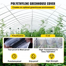 VEVOR Pellicola per Serre Telo di Plastica per Serre Spessore 6 mil, Copertura per Serre 7,3 x 30,5 m, Copertura in Polietilene Trasparente per Serra Agricola Anti-UV per Giardinaggio, Agricoltura