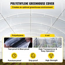 VEVOR Pellicola per Serre Telo di Plastica per Serre Spessore 6 mil, Copertura per Serre 3,05 x 30,5 m, Copertura in Polietilene Trasparente per Serra Agricola Anti-UV per Giardinaggio, Agricoltura