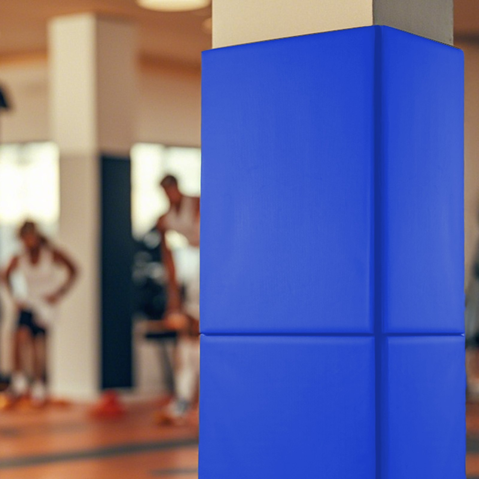 VEVOR Tappetino da Parete per Palestra 180 x 60 x 5 cm Antistrappo, Imbottitura in Schiuma Rimovibile per Parete di Campo da Basket, Imbottitura Protettiva per Garage e Seminterrato Blu