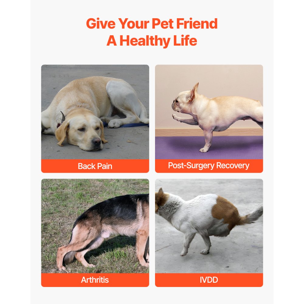 VEVOR Tutore per Schiena del Cane per IVDD, Tutore Ortopedico per Schiena dell'Animale Domestico con Finiture Riflettenti, Supporto per Colonna Vertebrale del Cane per Alleviare Dolore, Taglia M, Nero