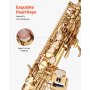 VEVOR Sassofono Soprano Dritto, Si Bemolle, Kit di Sassofono in Ottone a 23 Tasti per Principianti, con Custodia Trasporto, Bocchino, Asta per Panno di Pulizia, Guanti, Tracolla, Oro