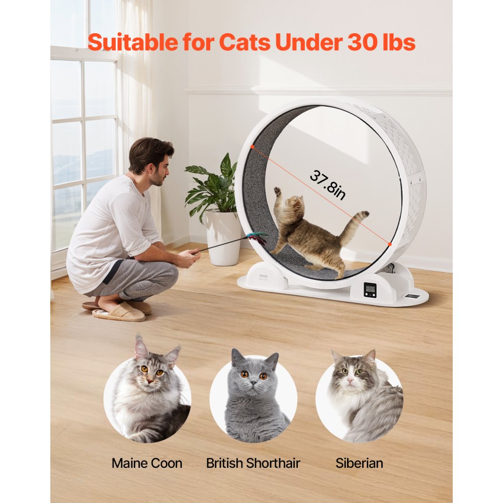 VEVOR Ruota per Esercizi per Gatti con Contapassi, 1038 mm Ruota per Correre con Freno Pista in Moquette per Gatti da Interno Sotto 13,6 kg Attrezzo per Esercizi per Gatti per Animali Domestici Bianco