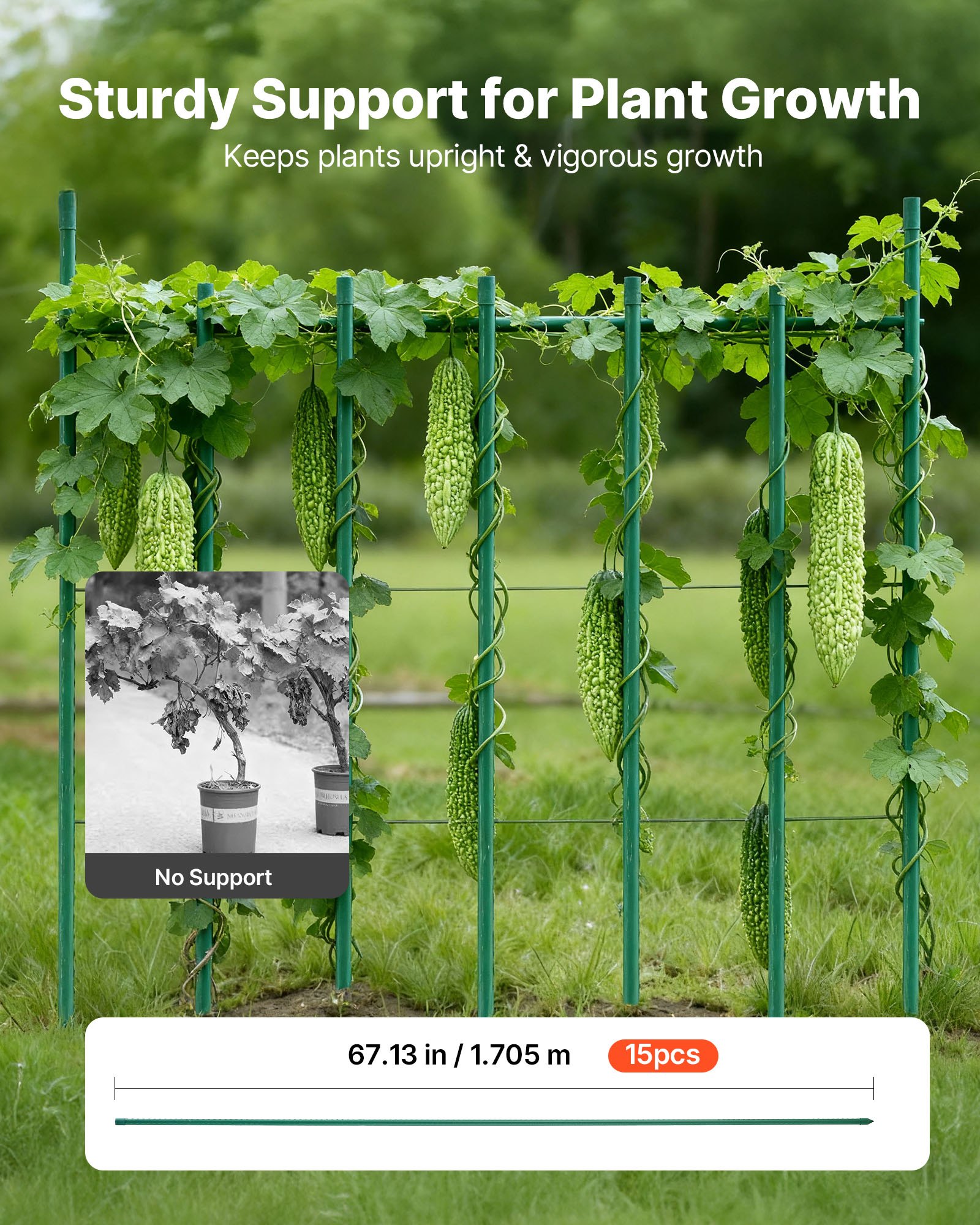 VEVOR Picchetti da Giardino Confezione da 15, 1705 mm, Bastoni di Sostegno per Piante con Estremità Appuntita e Protuberanze Antiscivolo per la Coltivazione di Piante Rampicanti, Verdure da Esterno