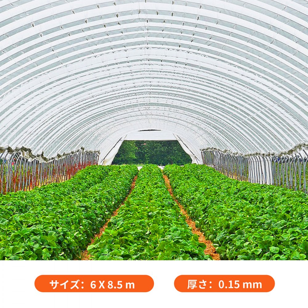 VEVOR 温室フィルム 温室ポリエチレンフィルム 6x8.5m 温室プラスチック
