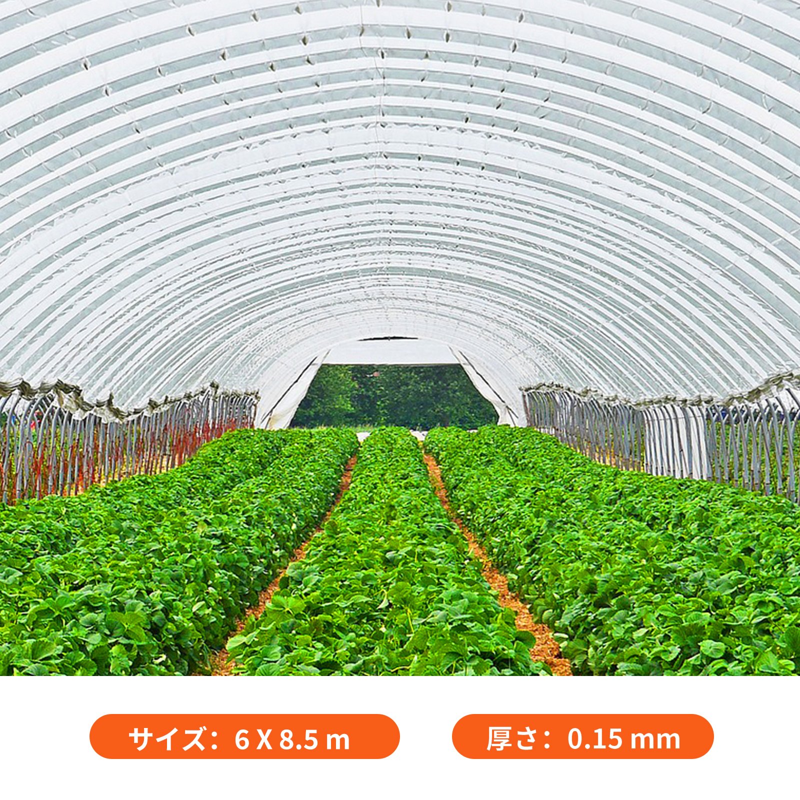 VEVOR 温室フィルム 温室ポリエチレンフィルム 6x8.5m 温室プラスチック