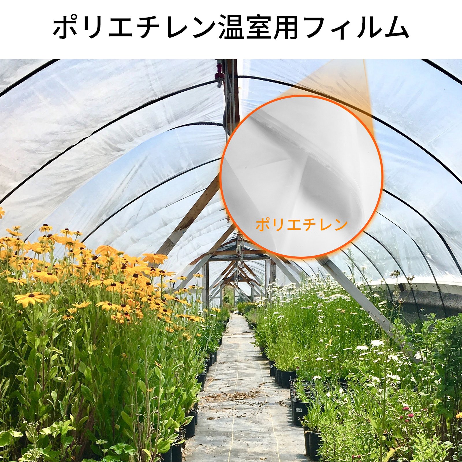 VEVOR 温室フィルム 温室ポリエチレンフィルム 7.3x15.2m 温室プラスチック