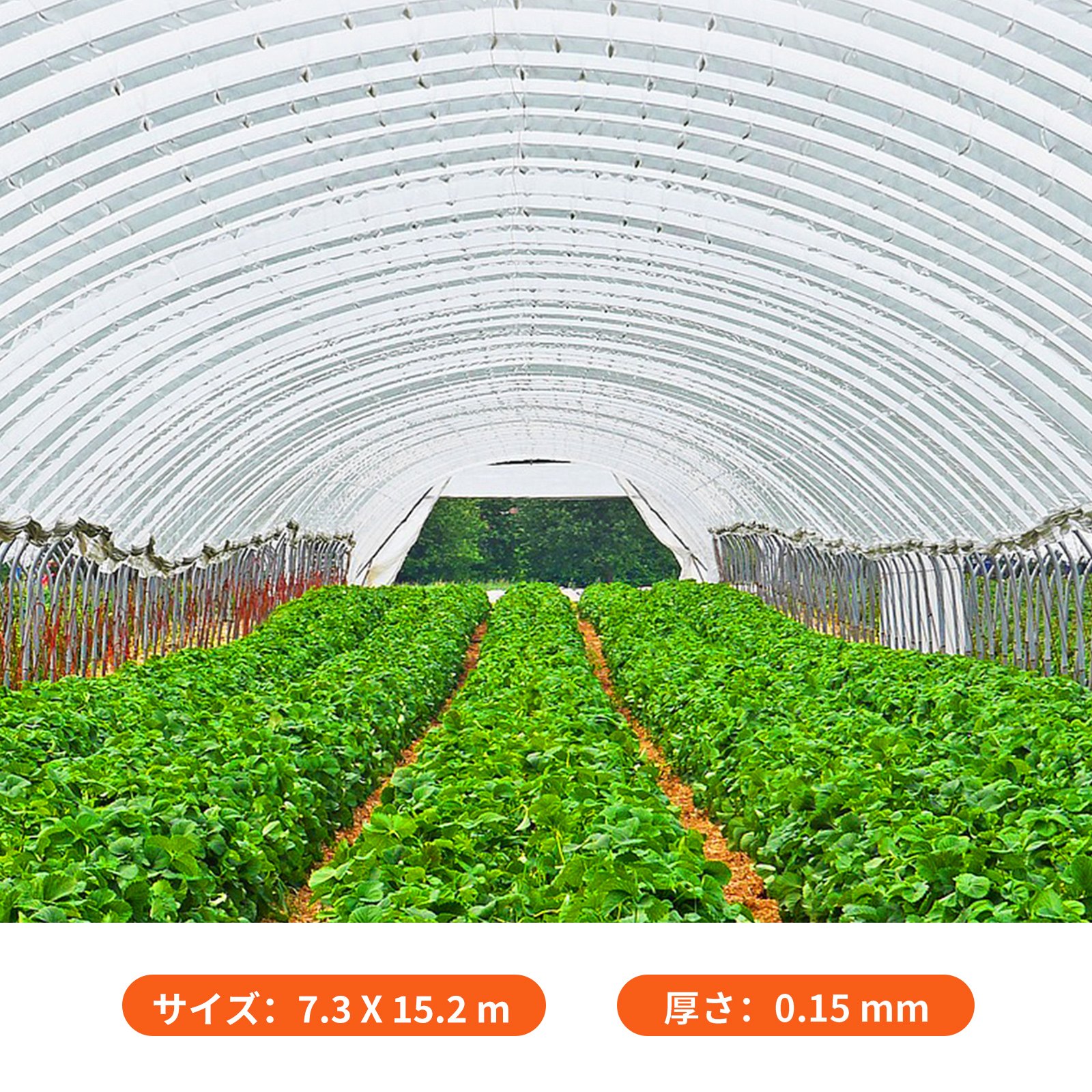 VEVOR 温室フィルム 温室ポリエチレンフィルム 7.3x15.2m 温室プラスチック
