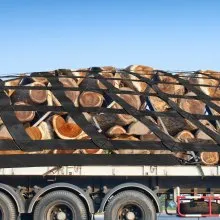 Red de carga VEVOR de 3.5 x 4.1 pies con ganchos en S, red de carga para cama de camión, redes de carga resistentes, capacidad de 1100 libras para camionetas (42 x 50 pulgadas)