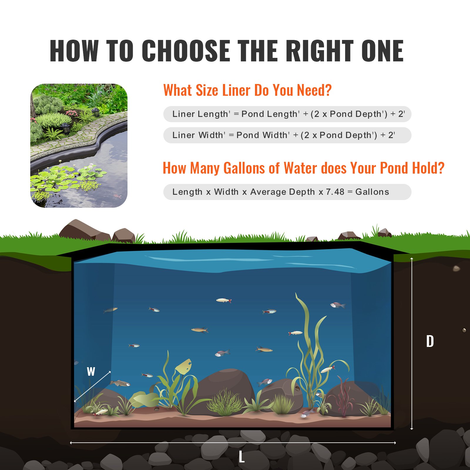 Cómo elegir el revestimiento de estanque VEVOR adecuado: calcula el tamaño y el volumen de agua; imagen de un estanque con plantas acuáticas.