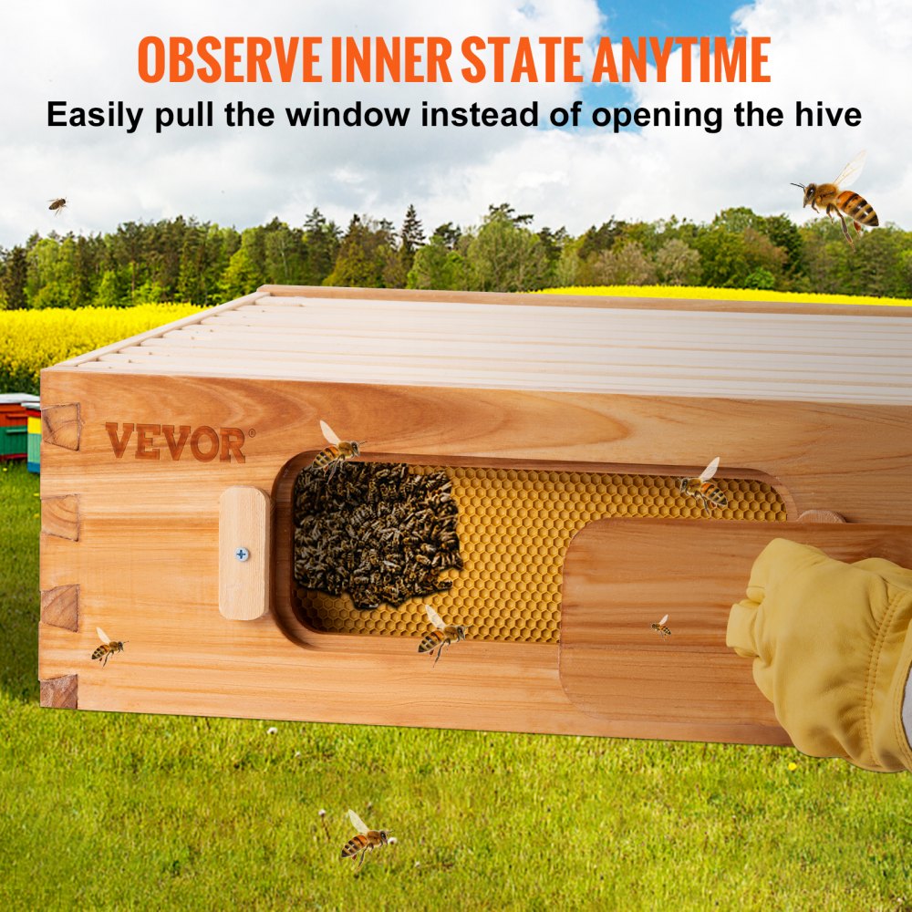 Kit de colmena VEVOR con ventana extraíble para revelar un panal y abejas, con un campo como telón de fondo.