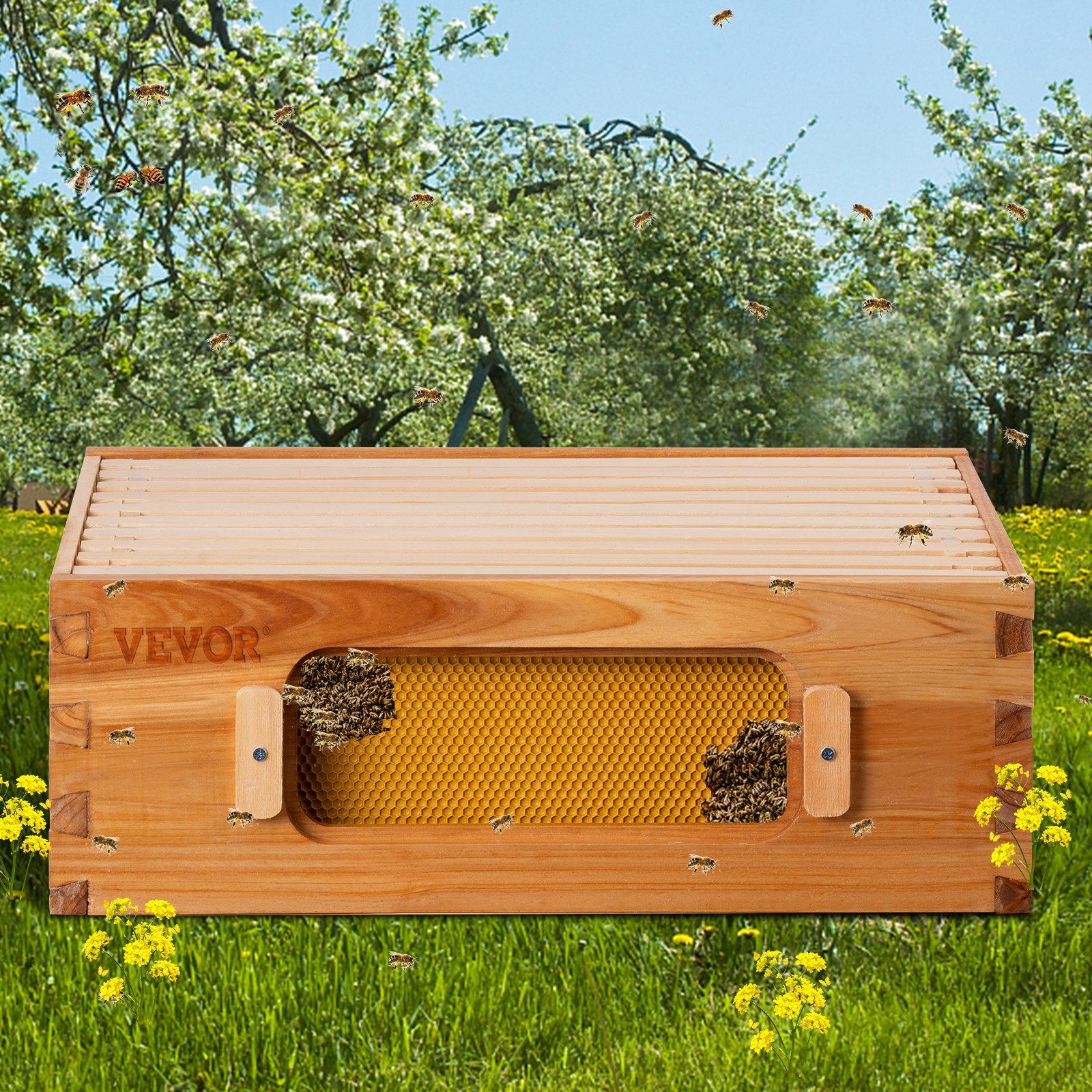 Kit de colmena VEVOR en un huerto con abejas volando alrededor, césped verde vibrante y flores amarillas.