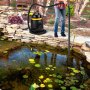 usando la aspiradora de estanque VEVOR para limpiar un estanque de patio con nenúfares.