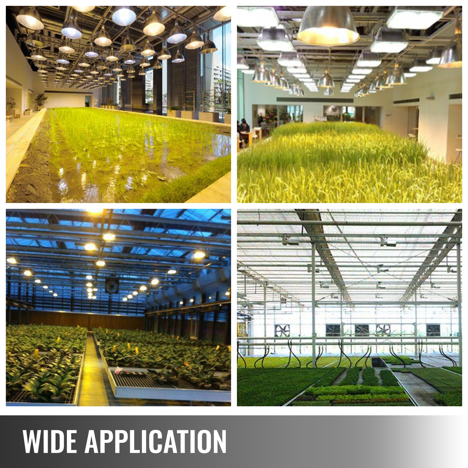 Kit de movimiento de luz de cultivo interior VEVOR para un crecimiento optimizado del jardín interior.
