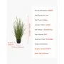 VEVOR Césped Artificial, Paquete de 2, 89 cm, Hierba de Totora en Maceta, Arbustos Verdes Artificiales de PVC Premium para Interiores, Exteriores, Casas, Jardines, Oficinas, Decoración de Hogar, Inauguración, Verde