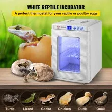 VEVOR Incubadora de Huevos Automática 25 L Incubadora Automática para Reptiles Blanco Incubadora para Pollos Pantalla Digita 28 x 25 x 36 cm con Control de Temperatura para Incubar Tortuga Pollo Pato